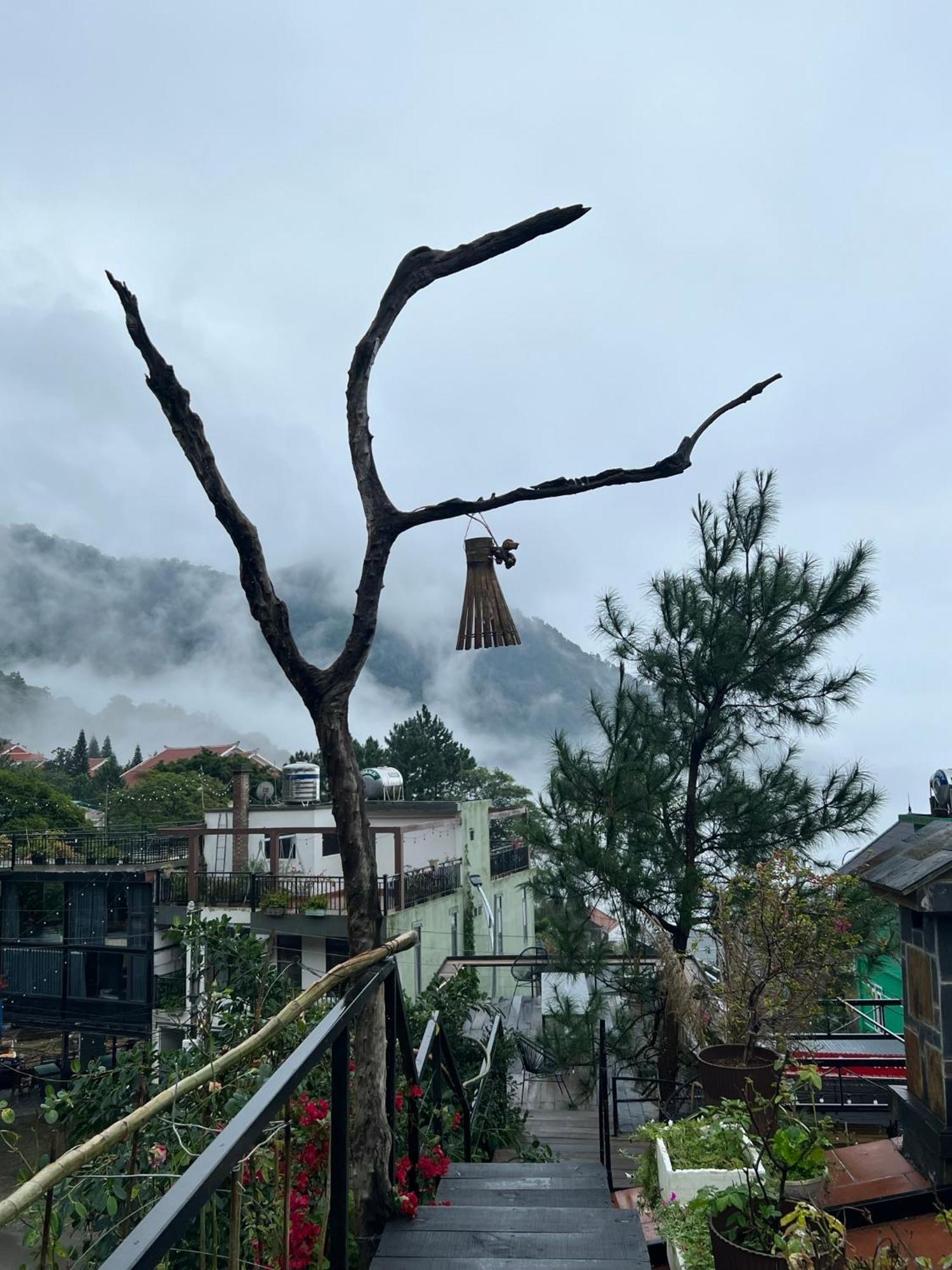 Bach Xanh House. Triangle Bungalow Tam Ðảo Exteriér fotografie